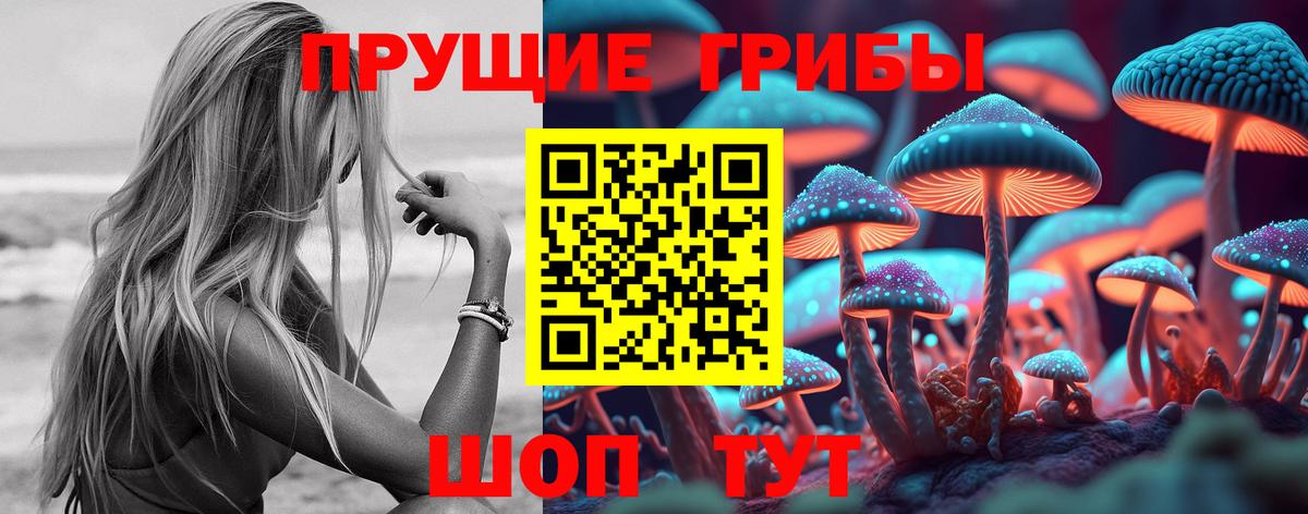 Чистополь  Псилоцибиновые грибы Psilocybine cubensis  Галлюциногенные грибы Psilocybine cubensis  Вход с VPN 