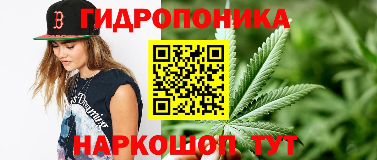 Конопля планчик  МАРИХУАНА OG Kush  Чистополь  Вход с VPN  Марихуана THC 21% 